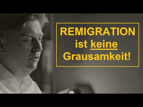 Youtube: Maximilian Krah (AfD) erklärt das Konzept der REMIGRATION