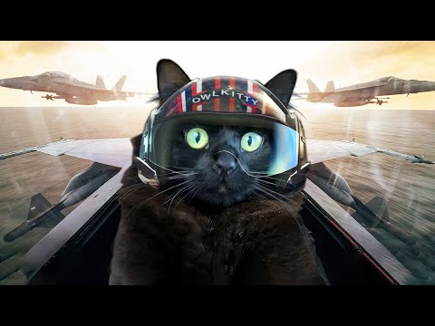 Youtube: Top Gun with a Cat