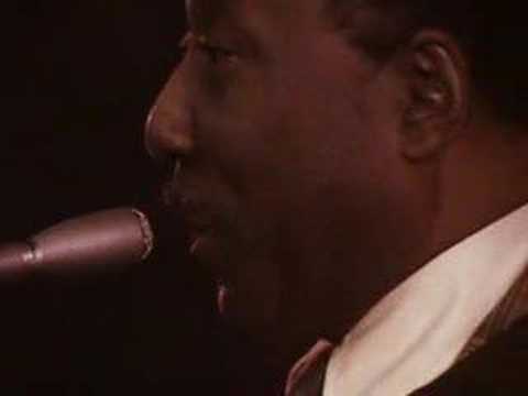 Youtube: Muddy Waters plays Manish Boy