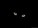 Youtube: Al Stewart- Year of the Cat