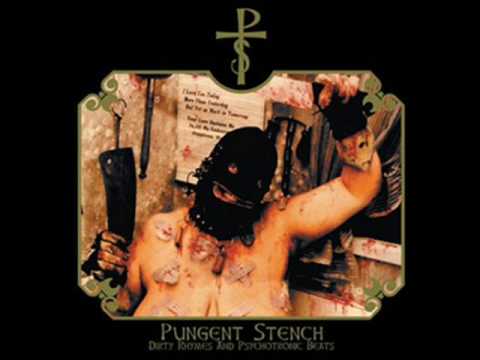 Youtube: Pungent Stench - Why Can The Bodies Fly (Warning Cover) HQ