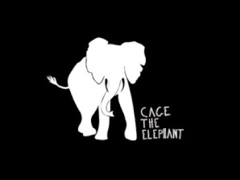 Youtube: Ain't No Rest For The Wicked by Cage The Elephant |Lyrics|