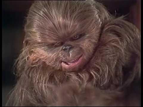 Youtube: The Star Wars Holiday Special (High Quality)