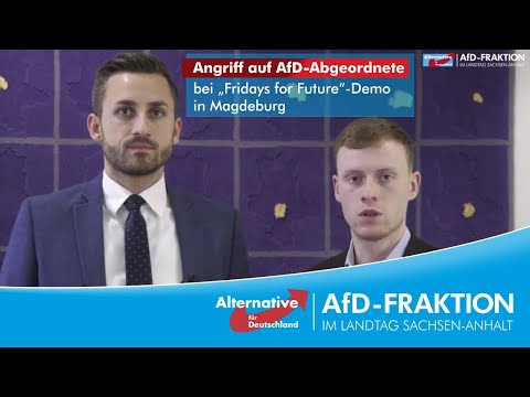 Youtube: Gewaltsamen Attacken gegen AfD-Abgeordnete während der „Fridays for Future“-Demonstration