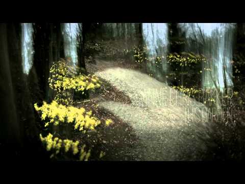 Youtube: Anne Chris Bakker — This Garden