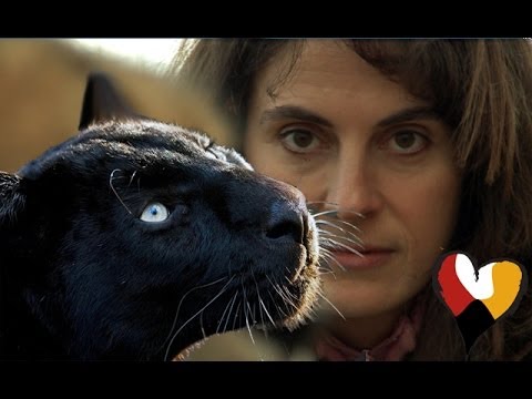 Youtube: Black Leopard and The Animal Communicator, Anna Breytenbach