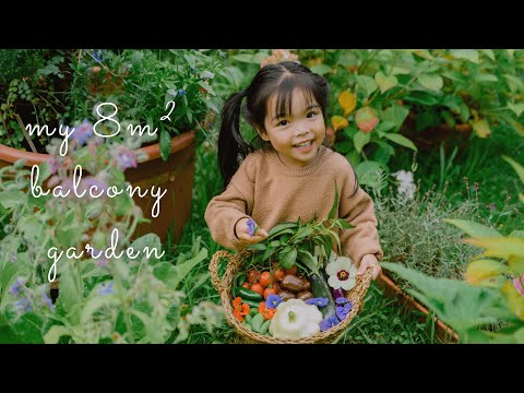 Youtube: #55 My 8m² Balcony Vegetable Garden | A Wonderful 200 Day Journey To Grow My Own Veggies
