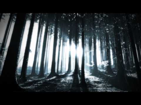 Youtube: Alcest - Elevation (Subtitulos en Español)