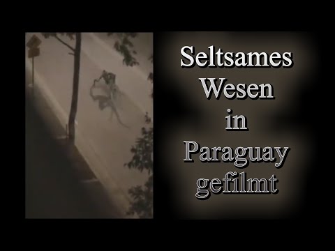 Youtube: Seltsames Wesen in Paraguay gefilmt