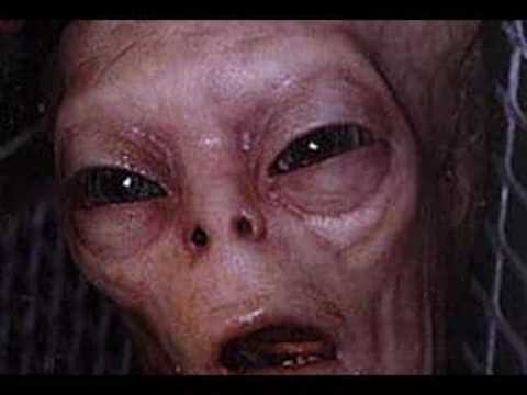 Youtube: REAL ALIEN!!??