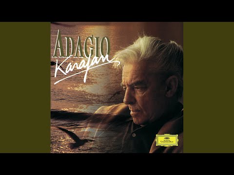 Youtube: Mahler: Symphony No. 5: IV. Adagietto. Sehr langsam