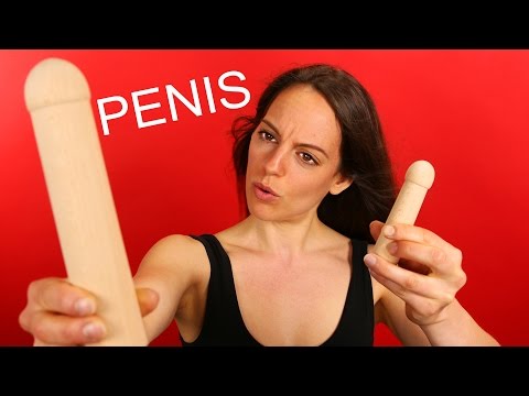 Youtube: PENIS - die Wahrheit zur Penisgröße !