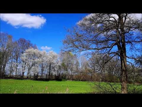 Youtube: Nana Mouskouri - Komm lieber Mai und mache die Bäume wieder grün💚