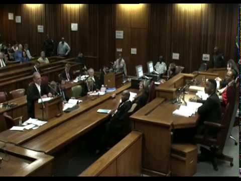 Youtube: Oscar Pistorius Pre-Sentencing Arguments: Tuesday 14 October 2014, Session 2