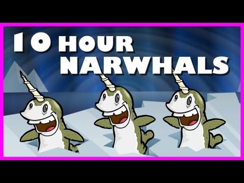 Youtube: Narwhals | 10 Hours