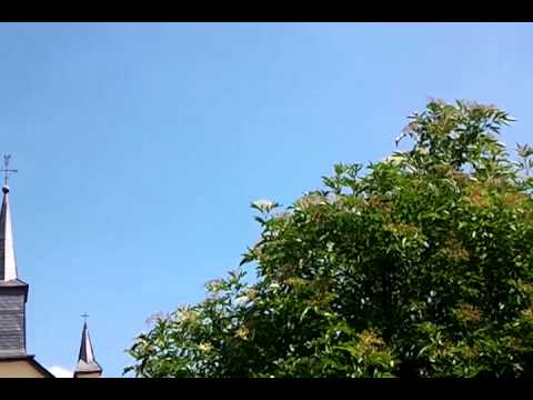 Youtube: Hitzehitzehitze! Klemmt die Fernbedienung bei den Wettermachern? Blauer Himmel - oder was?