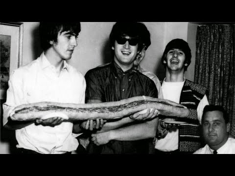 Youtube: send this to someone who doesn't listen to the beatles