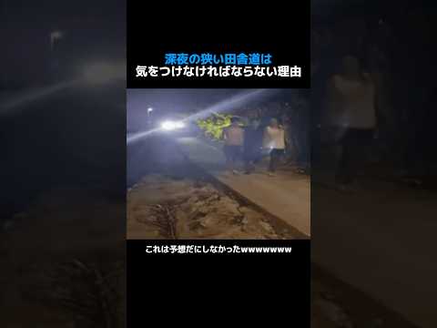 Youtube: 深夜の狭い田舎道は気をつけなければならない理由