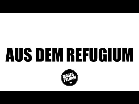Youtube: Moses Pelham - Aus dem Refugium - Lyric Video (Official 3pTV)