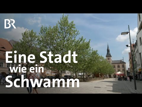 Youtube: Gewappnet für den Klimawandel: Die Schwammstadt Pfaffenhofen an der Ilm | Schwaben & Altbayern | BR