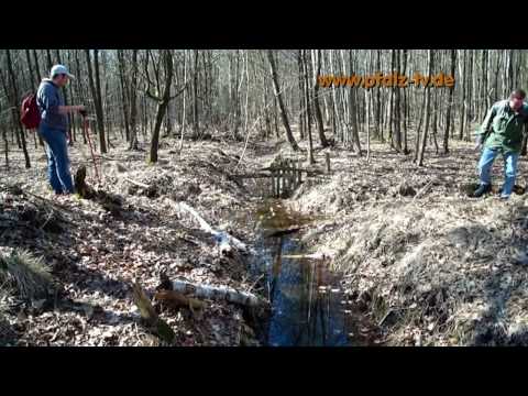 Youtube: Westwall Bunker Expedition im Bienwald - HD Qualität