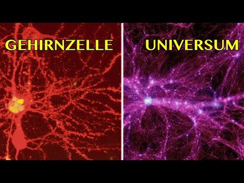 Youtube: Forscher Entdecken Erstaunliche ÄHNLICHKEITEN Zwischen GEHIRNZELLEN Und Dem UNIVERSUM
