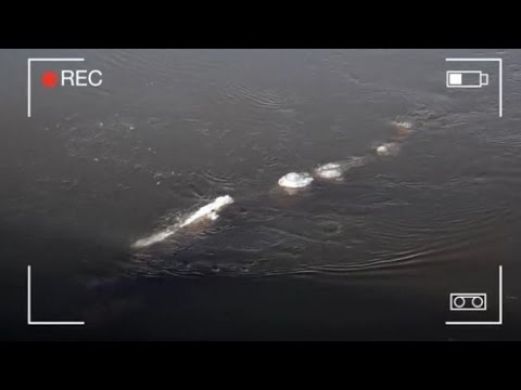 Youtube: Strange Ice Monster Filmed In Alaska’s Chena River