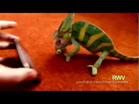 Youtube: Dramatic Screaming Chameleon :O
