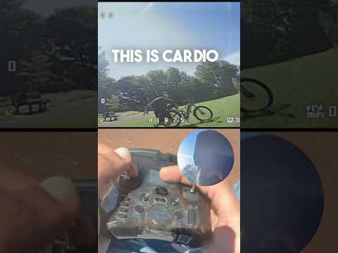 Youtube: FPV Encounters - Chasing Drones FastForward #fpv #tinywhoop #drone