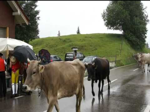 Youtube: Alpauffahrt im Appenzellerland 2011.VOB