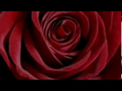 Youtube: Meine Zeit Mit Dir ♥ Horst Frank (lyrics)
