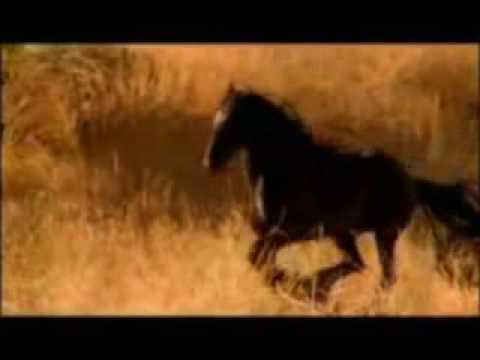 Youtube: Hans Zimmer - Chevalier de Sangreal