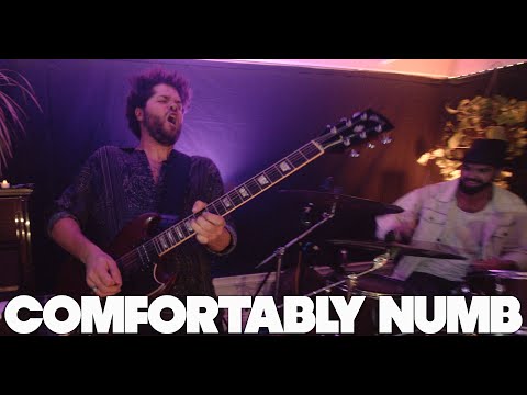 Youtube: The Main Squeeze - "Comfortably Numb" (Pink Floyd)