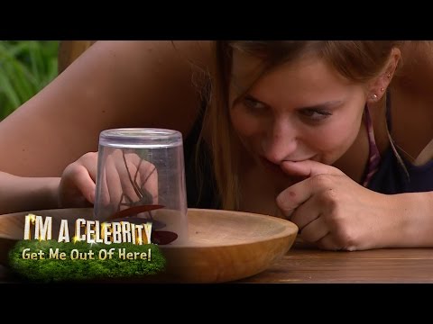 Youtube: Ferne McCann Eats a HUGE Live Spider! | I'm A Celebrity... Get Me Out Of Here!