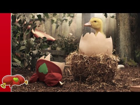 Youtube: Kabouter Plop - Plop en het ei