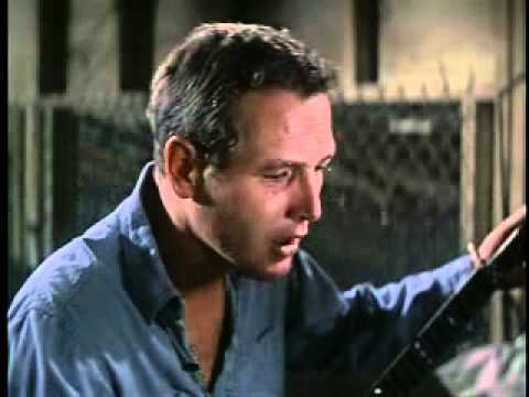 Youtube: Paul Newman - Plastic Jesus (Cool Hand Luke OST)