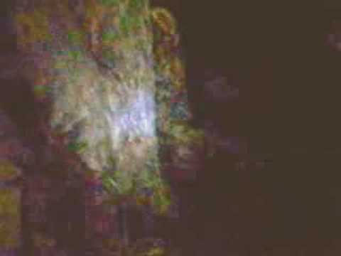 Youtube: enhanced yowie video