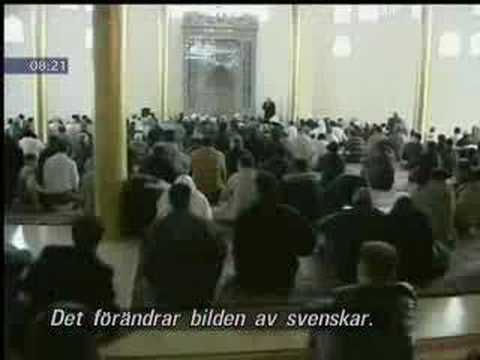 Youtube: Ausländer randalieren in Schweden