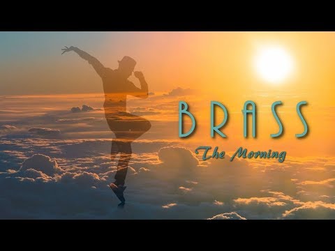 Youtube: Brass  - The Morning [Pure and Future Lounge Beats]
