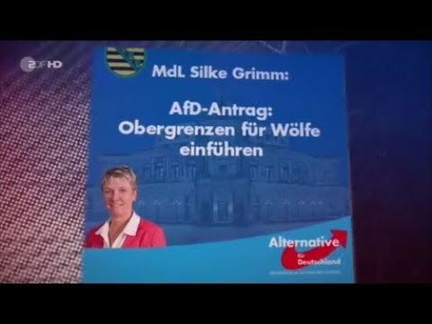 Youtube: AfD und das Märchen vom bösen Wolf