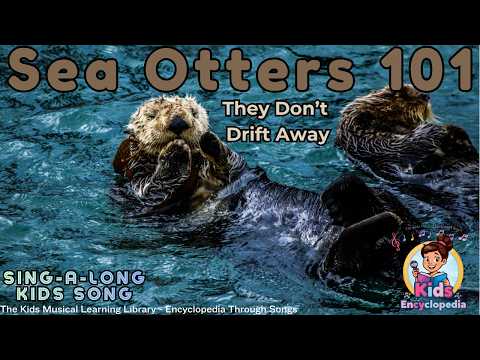 Youtube: Sea Otter Song for Kids | They Hold Hands While They Sleep | Animals 101 Encyclopedia Through Songs