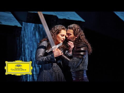 Youtube: Metropolitan Opera Orchestra – Wagner: Ride of the Valkyries - Ring (Official Video)