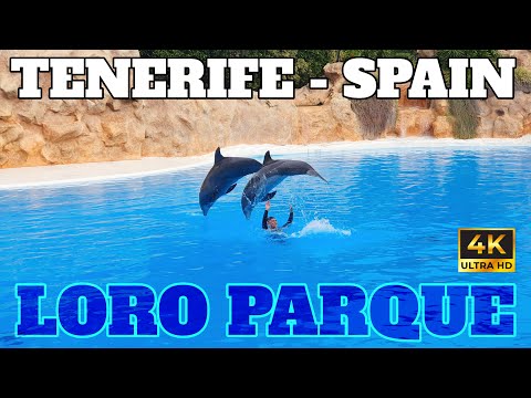 Youtube: LORO PARQUE - COMPLETE ZOO GUIDE - TENERIFE - SPAIN - 4K
