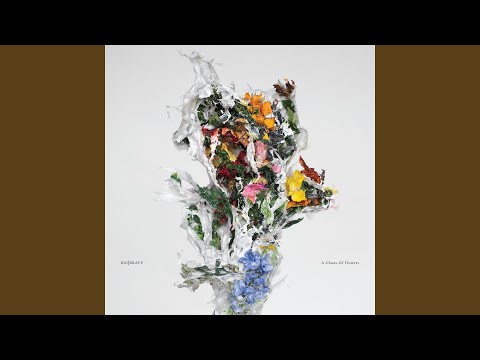 Youtube: chanson pour mon ombre