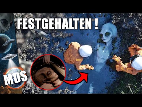 Youtube: Sie haben einen echten Außerirdischen eingefangen & veröffentlichen nun ein Video von ihm ?!