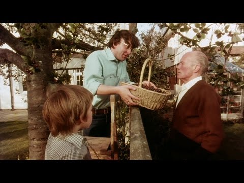 Youtube: Allianz Klassiker: „Kirschbaum“ – Erinnern Sie sich auch noch?