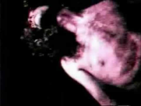 Youtube: Deinonychus - To diagnose the fortunes of paranoia