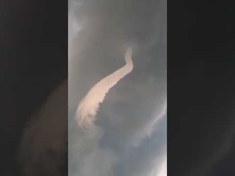 Youtube: 新潟県上越市で竜巻のたまご“ろうと雲”が発生