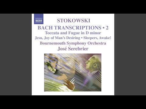 Youtube: Keyboard Concerto in F Minor, BWV 1056: II. Largo (arr. L. Stokowski for orchestra) :...