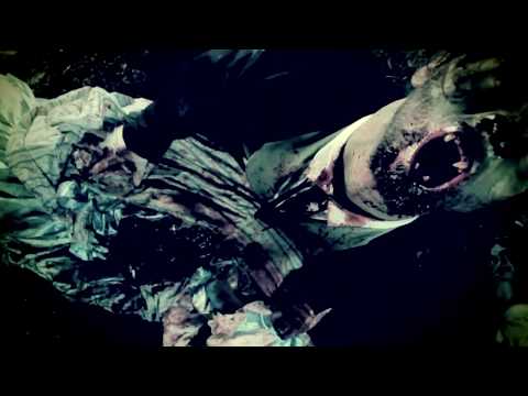 Youtube: The Black Dahlia Murder - Moonlight Equilibrium (OFFICIAL VIDEO)